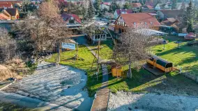 Tło dla mew w okowach zimy... ale bez śniegu, styczeń 2025 r. - zdjęcie 22