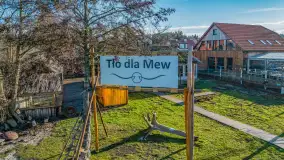 Tło dla mew w okowach zimy... ale bez śniegu, styczeń 2025 r. - zdjęcie 17