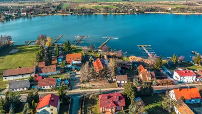 Tło dla mew w okowach zimy... ale bez śniegu, styczeń 2025 r.