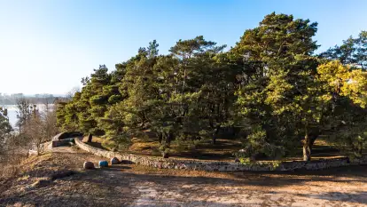 Cmentarz wojenny Jagerhohe zimą... ale bez śniegu, luty 2025 r.