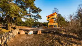 Cmentarz wojenny Jagerhohe zimą... ale bez śniegu, luty 2025 r. - zdjęcie 9