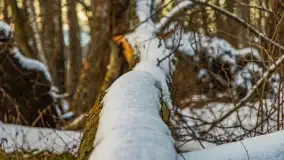 Zachód słońca nad jeziorem Kisajno, Piękna Góra, luty 2025 r. - zdjęcie 12