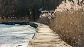 Przedwiośnie na przystani Leśny Zakątek, jezioro Mamry, marzec 2025 r. - zdjęcie 9