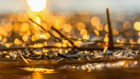 Zachód słońca nad jeziorem Mamry, Zwierzyniecki Róg, marzec 2025 r. - zdjęcie 12