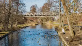 Przedwiośnie w Węgorzewie nad kanałem Młyńskim, marzec 2025 r. - zdjęcie 15