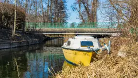 Przedwiośnie w Węgorzewie nad kanałem Młyńskim, marzec 2025 r. - zdjęcie 16