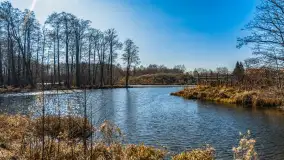 Przedwiośnie w Węgorzewie nad kanałem Młyńskim, marzec 2025 r. - zdjęcie 30