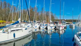 Wspominki sezonu 2023 na zdjęciach z telefonu, cz. I - zdjęcie 15