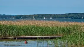 Wspominki sezonu 2022 na zdjęciach z telefonu cz. I - zdjęcie 24