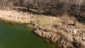 Jaz w Kwiku, marzec 2025r. - zdjęcie 10