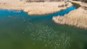 Jaz w Kwiku, marzec 2025r. - zdjęcie 18