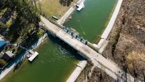 Jaz w Kwiku, marzec 2025r. - zdjęcie 2