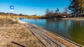 Jaz w Kwiku, marzec 2025r. - zdjęcie 1