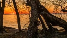 Zachód słońca nad Darginem, marzec 2025 r. - zdjęcie 15