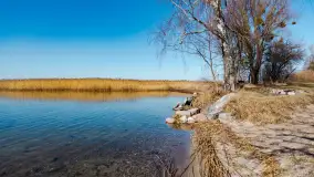 Półwysep Szeroki Ostrów, marzec 2025r. - zdjęcie 4