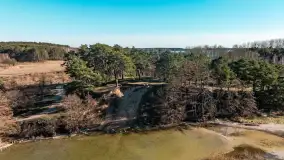 Półwysep Szeroki Ostrów, marzec 2025r. - zdjęcie 27