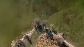 Półwysep Szeroki Ostrów, marzec 2025r. - zdjęcie 40