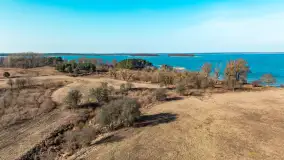 Półwysep Szeroki Ostrów, marzec 2025r. - zdjęcie 55