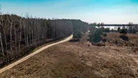 Półwysep Szeroki Ostrów, marzec 2025r. - zdjęcie 56