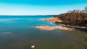 Półwysep Szeroki Ostrów, marzec 2025r. - zdjęcie 58