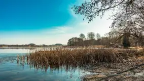 Plaża w Kleszczewie i jezioro Wojnowo, marzec 2025 r. - zdjęcie 39