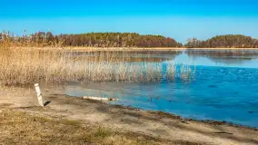 Plaża w Kleszczewie i jezioro Wojnowo, marzec 2025 r. - zdjęcie 4