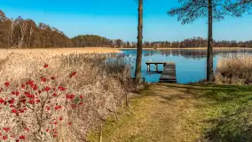 Plaża w Kleszczewie i jezioro Wojnowo, marzec 2025 r. - zdjęcie 35