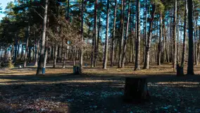 Pole biwakowe nad jeziorem Śniardwy. Okartowo, marze  2025r. - zdjęcie 8