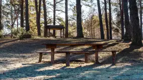 Pole biwakowe nad jeziorem Śniardwy. Okartowo, marze  2025r. - zdjęcie 15