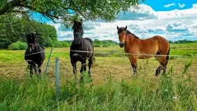 Mix ujęć z sezonu 2024 Michała cz. I - zdjęcie 9