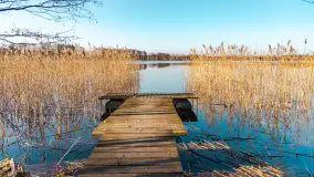 Słoneczny Ryn pod koniec marca - zdjęcie 47