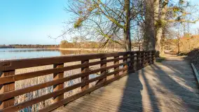 Słoneczny Ryn pod koniec marca - zdjęcie 46