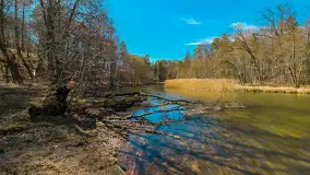 Rezerwat Przyrody Krutynia na wiosennych ujęciach, kwiecień 2025 r. - zdjęcie 1