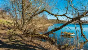 Wiosna w Mrągowie, końcówka marca 2023 r. - zdjęcie 1