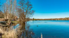 Wiosna w Mrągowie, końcówka marca 2023 r. - zdjęcie 41