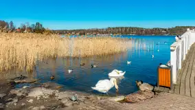 Wiosna w Mrągowie, końcówka marca 2023 r. - zdjęcie 60