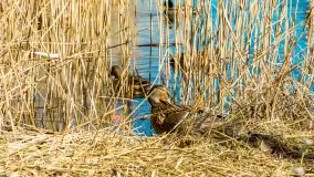 Wiosna w Mrągowie, końcówka marca 2023 r. - zdjęcie 57