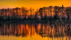 Zachód słońca nad Sztynortem, kwiecień 2025 r. - zdjęcie 5