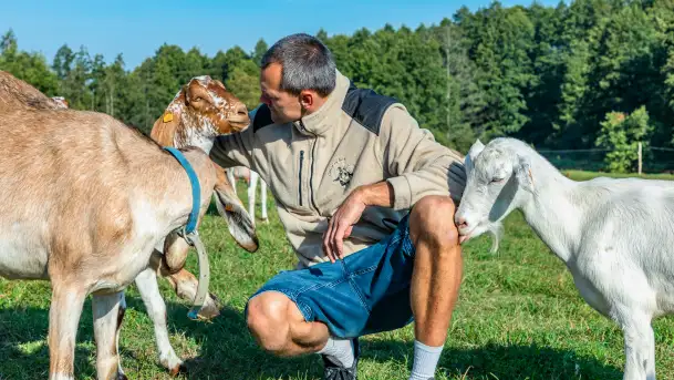 Kremowy smak Mazur – idealny na stół wielkanocny od Chèvre au lait - zdjęcie 9