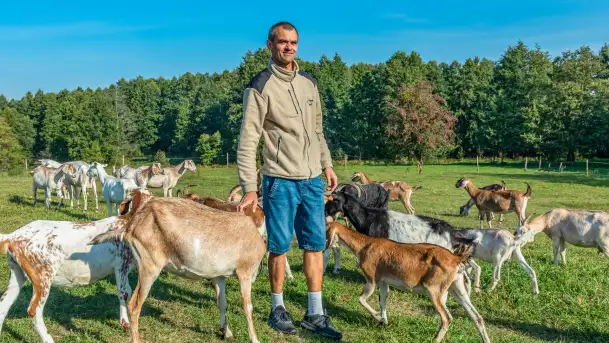 Kremowy smak Mazur – idealny na stół wielkanocny od Chèvre au lait - zdjęcie 10