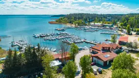 Wilkasy z lotu ptaka w wiosennej scenerii, maj 2025 r. - zdjęcie 1