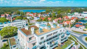 Wilkasy z lotu ptaka w wiosennej scenerii, maj 2025 r. - zdjęcie 8