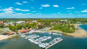 Wilkasy z lotu ptaka w wiosennej scenerii, maj 2025 r. - zdjęcie 5