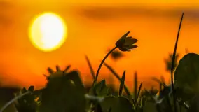 Relaksujący, kwietniowy zachód słońca nad jeziorem Dargin - zdjęcie 13