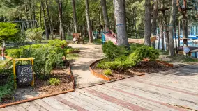 Powrót do przeszłości - port i Hotel Tajty w 2018 roku - zdjęcie 44