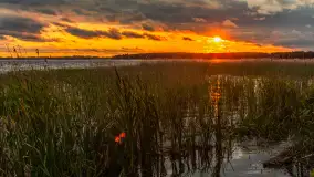 Wietrzny ale jednak zachód słońca w Ogonkach, czerwiec 2025 r. - zdjęcie 34