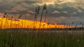 Wietrzny ale jednak zachód słońca w Ogonkach, czerwiec 2025 r. - zdjęcie 22