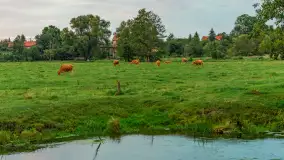 Zachód słońca nad rzeką Gołdapa w Baniach Mazurskich, lipiec 2025 r. - zdjęcie 4