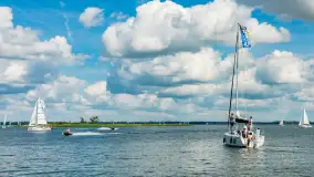 Jezioro Niegocin widziane z Wilkas, lipiec 2025 r. - zdjęcie 7