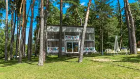 Piękny Brzeg - idealny port i ośrodek dla rodzin z dziećmi - zdjęcie 22